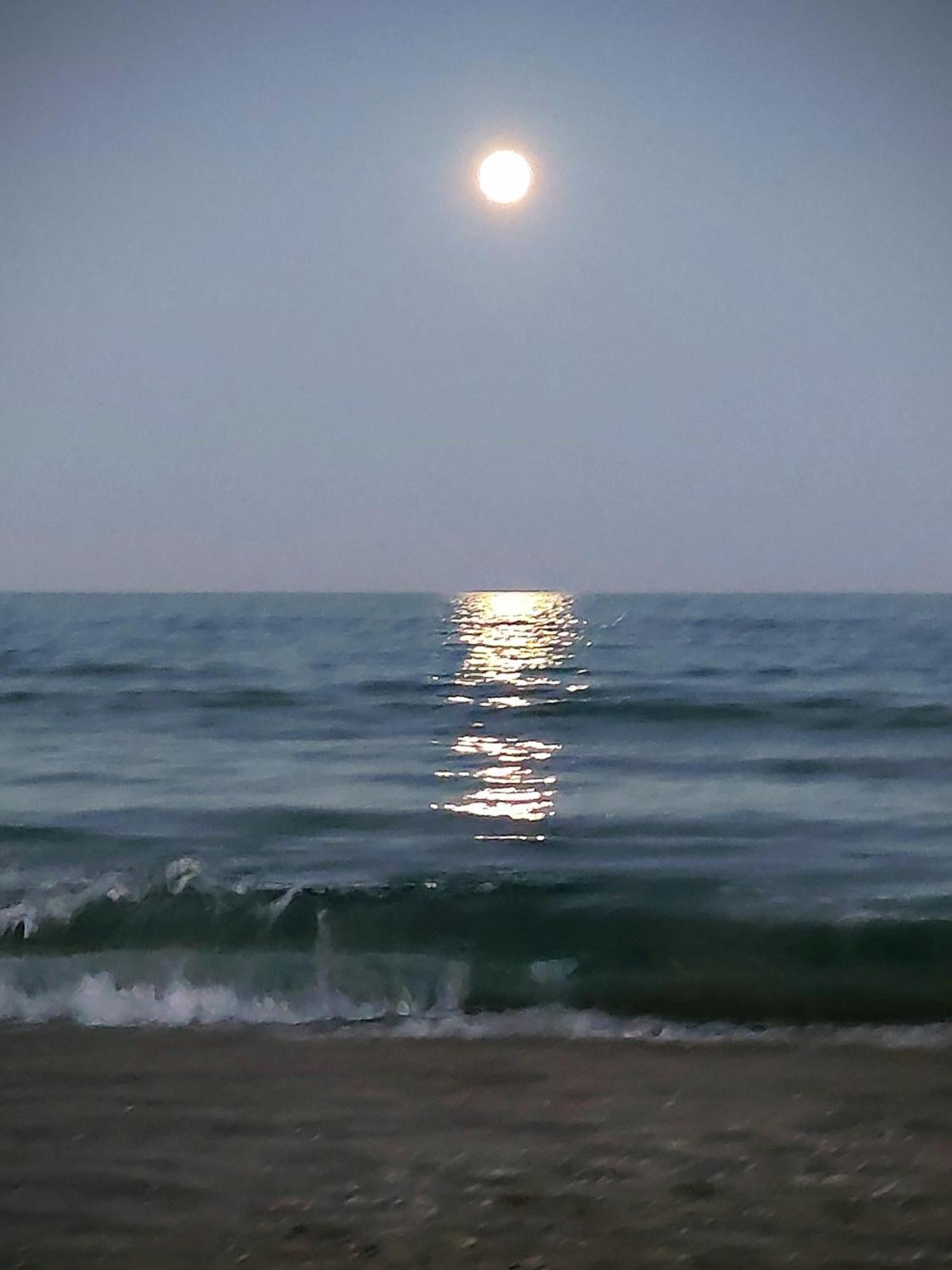 Cullera Confort Playa ภายนอก รูปภาพ